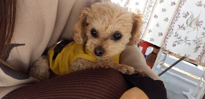 かわいいお客様＾＾