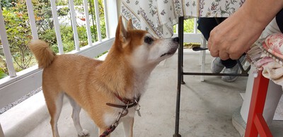 かわいいお客様^^ かわいいお客様^^