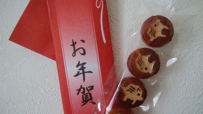 寒中お見舞い申し上げます＾＾