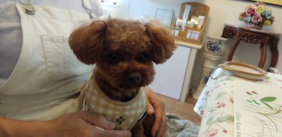 かわいいお客様^^ かわいいお客様^^