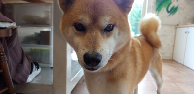 かわいいお客様^^ かわいいお客様^^