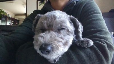 寒い日は＾＾