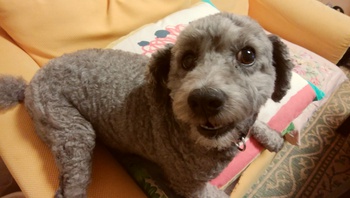 お盆休み∧∧