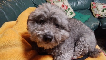ほのぼの純さん^^ ほのぼの純さん^^
