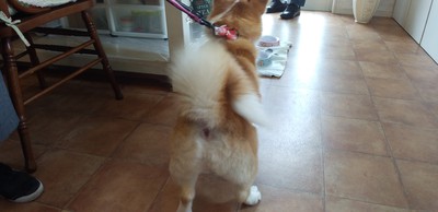 かわいいお客様^^ かわいいお客様^^