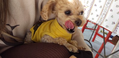 かわいいお客様＾＾