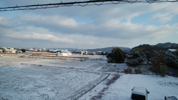 降ってた∧∧