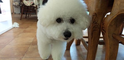 かわいいお客様^^ かわいいお客様^^