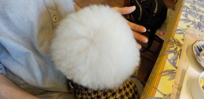 かわいいお客様^^ かわいいお客様^^