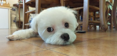 かわいいお客様^^ かわいいお客様^^