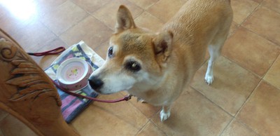 かわいいお客様^^ かわいいお客様^^