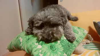 雨ですね・・・＾＾