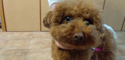 かわいいお客様^^ かわいいお客様^^