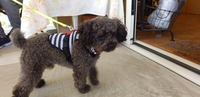 かわいいお客様＾＾