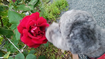 お待たせいたしました＾＾