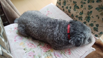口をそろえてぇ～＾＾