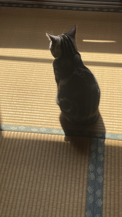 最後の雪？