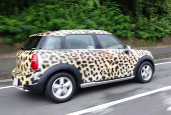 ヒョウ柄車♪