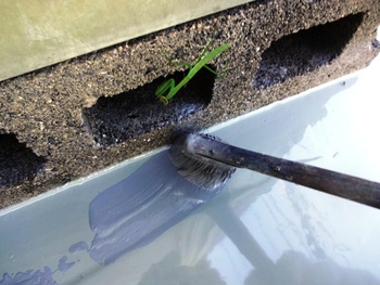 カマキリとヌリヌリ~防水塗装工事~