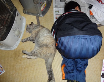 丸くなるな子猿(息子)と花(猫)