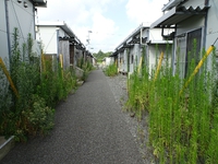 残り2日の営業となります。 2020/08/14 22:07:23