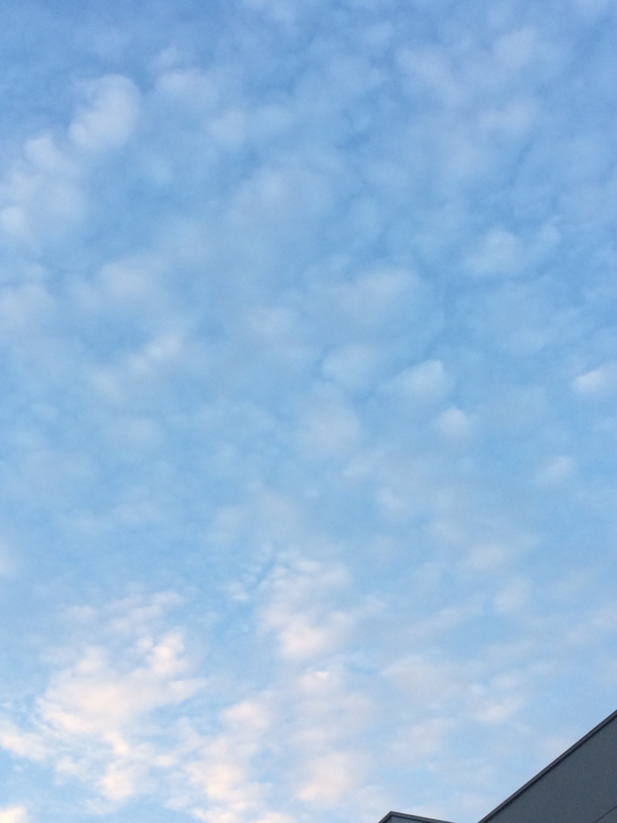 昨日の19時の空