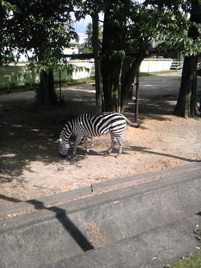 動物園
