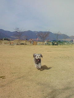 今日もランへGO!!^^