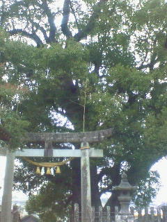 純のおさんぽコース^^