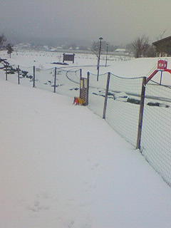 雪にも負けず^^