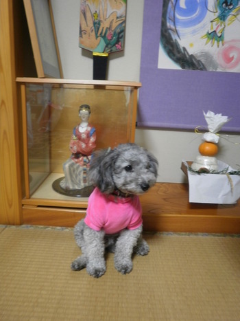 新年あけましたぁ～＾＾