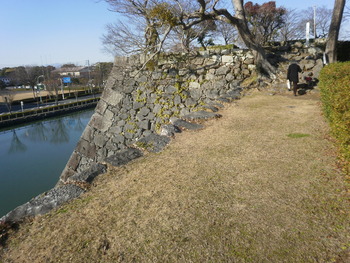 ある日の散歩＾＾