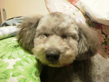 寒いけどスッキリ^^