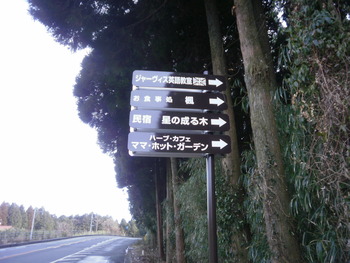 かわいいお客さま^^