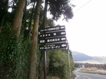 看板が変わりました～!!＾＾