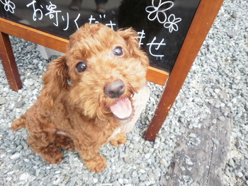 嬉しい再開＾＾