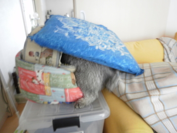 雨の日に・・・