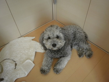 久々にぃ～＾＾