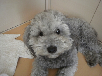 久々にぃ～＾＾
