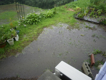 まだまだ雨ですね^^