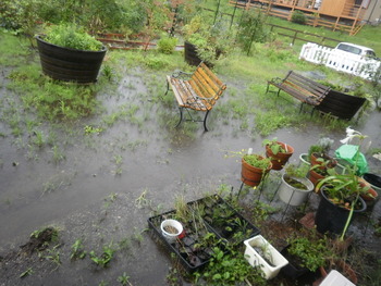 まだまだ雨ですね^^