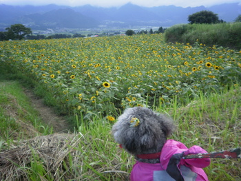 絶景でした~^^
