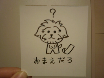 たからものたち＾＾