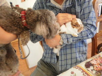 かわいいお客さま^^