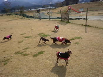 純くんとおでかけ～＾＾