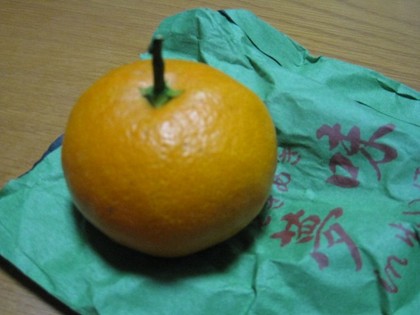 越冬袋掛みかん