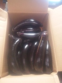 わけありナスビ販売中です。