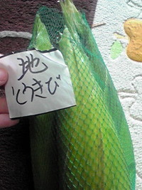 さよならの、季節