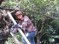 田舎暮らし