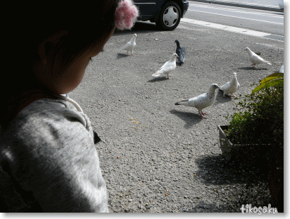 ふれあい動物園？